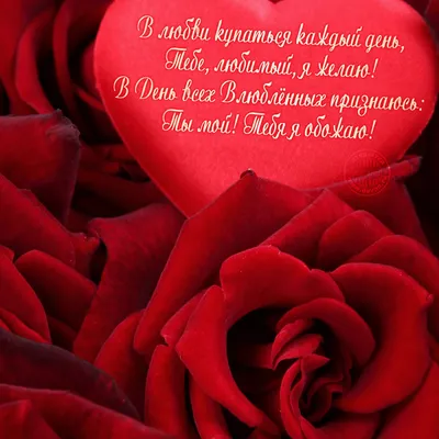 14 февраля день всех влюбленных романтика любовь