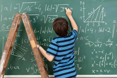 30 с хвостиком задач. Математика для самых маленьких. Как помочь ребенку  полюбить математику – Книжный интернет-магазин Kniga.lv Polaris