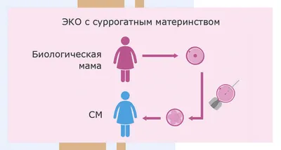 Опрос «Материнство и детство: повышение рождаемости и поддержка семей с  детьми» | Министерство социальной защиты населения Кузбасса