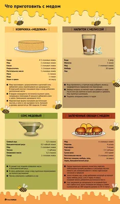 Медом намазано: что приготовить на Медовый Спас-2023 – 4 рецепта - РИА Томск