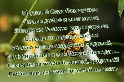Медовый Спас 2022 в России: какого числа, суть и описание православного  праздника