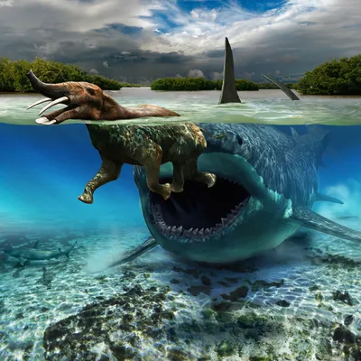 Мегалодон – Carcharodon megalodon – Рыбы – Динозавры
