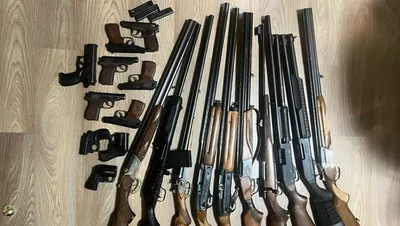 Росгвардия изъяла в Купчино более 20 единиц оружия