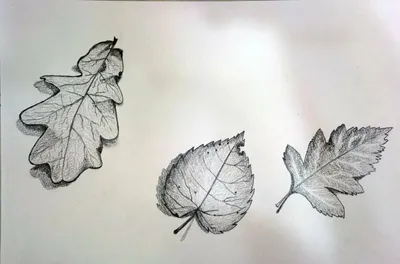 Осенние рисунки для срисовки красками - 71 фото
