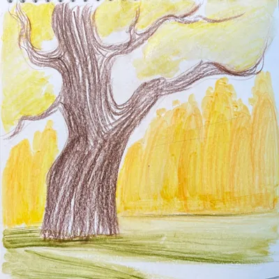 Простые рисунки про осень (48 фото) » Рисунки для срисовки и не только