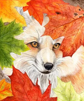 Рука Карандашом Рисует Красочные Осенние Листья Осень Белом Фоне Детские  Векторное изображение ©Larisa_Zorina 312014698