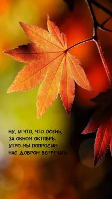Надпись привет осень написана на черной доске в деревянных осенних листьях  Стоковое Фото - изображение насчитывающей черный, октябрь: 253242736