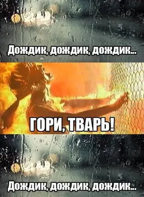 Приколы 80 lvl - В какую погоду не хочется работать? 😅😅 #приколы, #юмор,  #позитив, #80lvl | Facebook