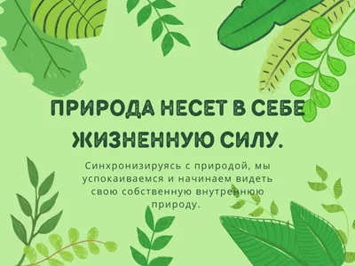 Сетевая акция «Сохраним природу — сохраним будущее» — Дистанционное  образование детей-инвалидов