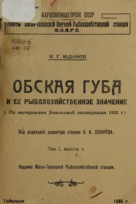 Лучшая версия себя. Правила обретения счастья и смысла на работе и в жизни.  | Голдсмит Маршалл - купить с доставкой по выгодным ценам в  интернет-магазине OZON (874544993)