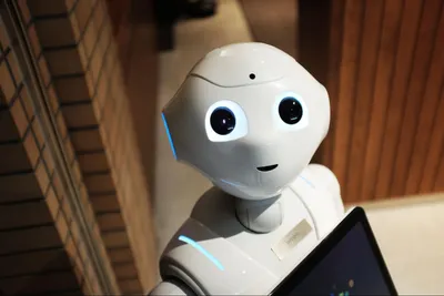 Интерактивная выставка роботов “Федерация роботов”