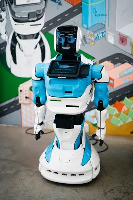 Тинькофф» создал человекоподобных роботов для борьбы с телефонными  мошенниками - oboz.info