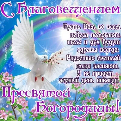 К вопросу о свидетельском иммунитете близких родственников – тема научной  статьи по праву читайте бесплатно текст научно-исследовательской работы в  электронной библиотеке КиберЛенинка