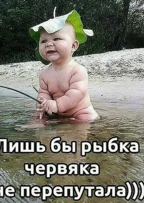 Прикольные картинки юмор: фотографии, которые вызовут улыбку - pictx.ru