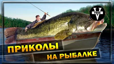 День рыбака - фотожабы, мемы и картинки о рыбалке - Апостроф