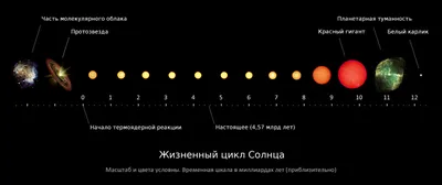 Астрономы выяснили, может ли Солнце поглотить Землю - Российская газета