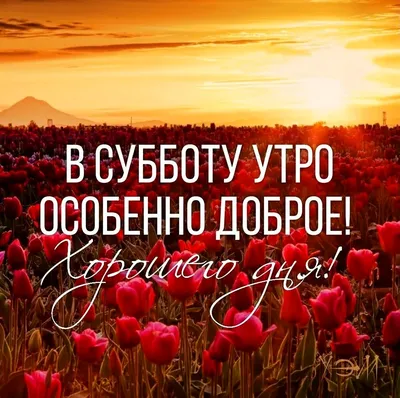 Уже в эту субботу!