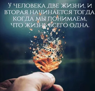 Про жизнь со смыслом... — Saule Abdulina на TenChat.ru