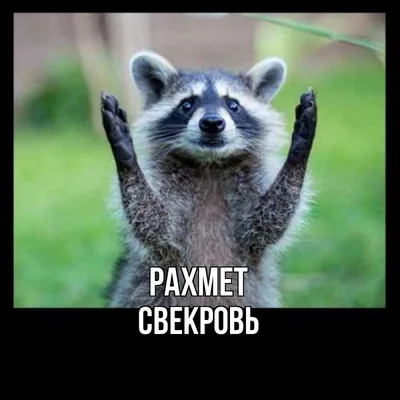 Анекдоты про тёщу и свекровь — Яндекс Игры