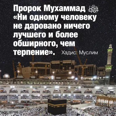 Терпеливость в беде – отличительное качество мусульманина | islam.ru