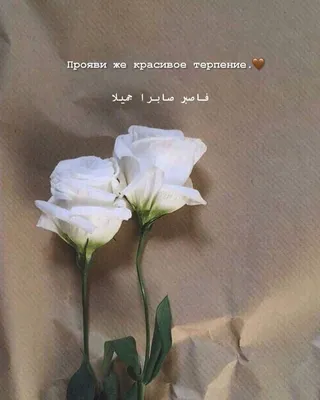 Семья в Исламе - 💔 Ведь сколько браков распалось только из-за того, что мы  не смогли вовремя промолчать и проявить терпение! ⠀ Усмирить свою гордость  и не сказать тех обидных слов, которые