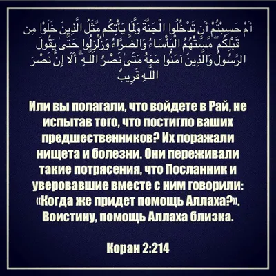 Газета «Сердало» – новости Ингушетии