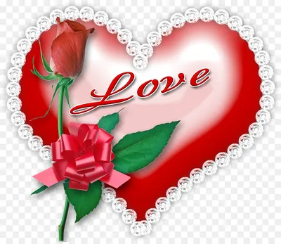 Rose Love Flowers png download - 1200*1032 - Free Transparent Picture  Frames png Download. - CleanPNG / KissPNG