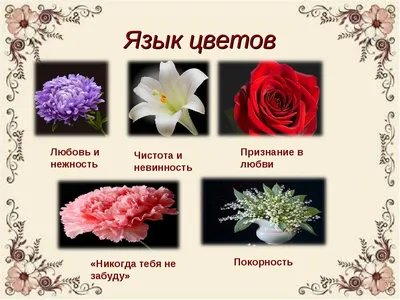 flowers #rose #love #romantic #pink #romance #orange #garden #flora  #fragrance #wedding #white #… | Beautiful flowers hd wallpapers, Free  flower wallpaper, Flowers