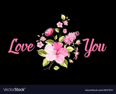 Rose flower pictures, Beautiful roses, Love rose flower, Beautiful flowers  wallpapers, AI Generated 22257315 Stock Photo at Vecteezy