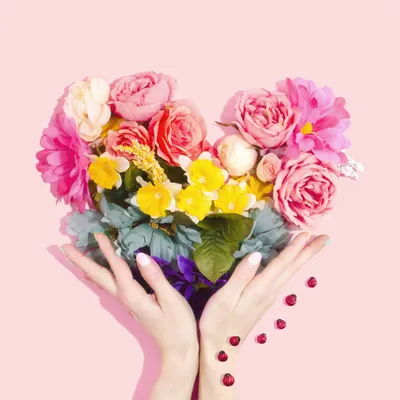 Flowers that Represent Love | Valentine's Day Flower Guide – Floraly