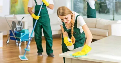Какие услуги оказывает клининговая компания при уборке квартиры