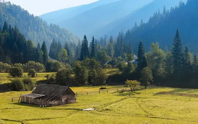 Українське село - купити по самим низьким цінам в Україні