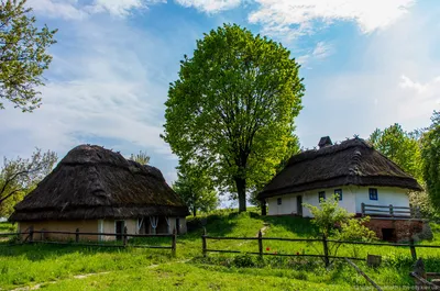 Купити Тарілка Українське село | Skrynya.ua