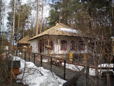 Українське село - це не тільки руїна! “Сільські” історії від ШоТам, які  надихають - ШоТам