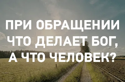 Жизнь в Церкви. Про нашу веру (Петр Мещеринов) - купить книгу с доставкой в  интернет-магазине «Читай-город». ISBN: 978-5-69-994926-7