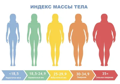 Как узнать есть ли у вас лишний вес? | PRO фитнес в 40+ | Дзен