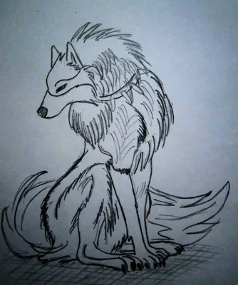 АНИМЕ смотреть как нарисовать аниме волка Watch ANIME how to draw anime  wolf - YouTube