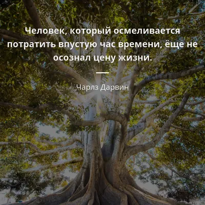 Нашивка, патч \"Делу-время, а потехе я посвятил жизнь\" тактическая с  липучкой. - купить с доставкой по выгодным ценам в интернет-магазине OZON  (265731386)