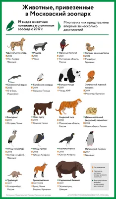 Животные, привезенные в Московский зоопарк - Агентство городских новостей  «Москва» - информационное агентство