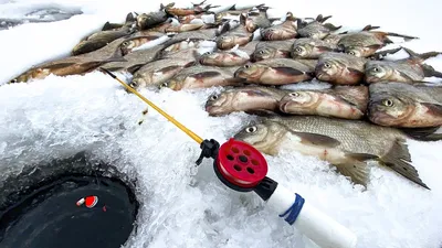 База \"Якорная\" - Зимняя рыбалка, так же как и летняя является азартным и  очень интересным видом спорта. Большинство рыболовов зимнюю рыбалку любят  гораздо больше, чем летнюю, чем же это обусловлено? Именно тем,