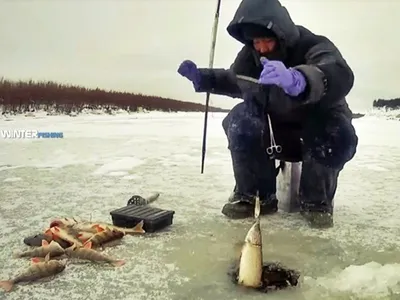 Тонкости зимней рыбалки в Украине - Клуб Маямi