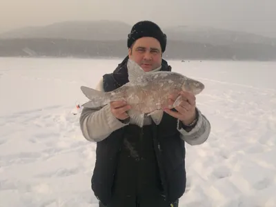 В Бурятии разрешили зимнюю рыбалку на омуля