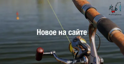Куда поехать на зимнюю рыбалку из Екатеринбурга, совет профессионала - 25  декабря 2022 - Е1.ру