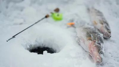 Взгляд женщины на зимнюю рыбалку
