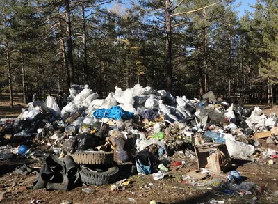 Проблема мусора и бытовых отходов в национальных парках и в других  общественных местах в 2020 году Дальний восток возле города Вл Редакционное  Стоковое Фото - изображение насчитывающей скомкано, старье: 200360168
