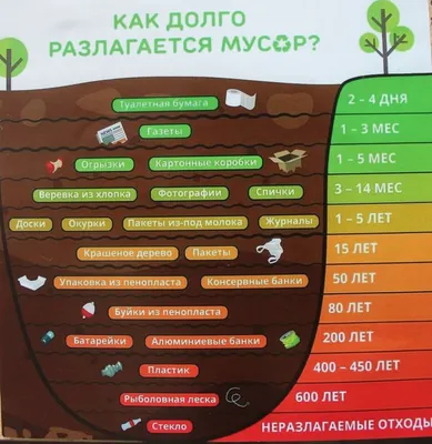 Отходы в доходы: почему в Казахстане переработка мусора превратилась в тему  для обсуждения