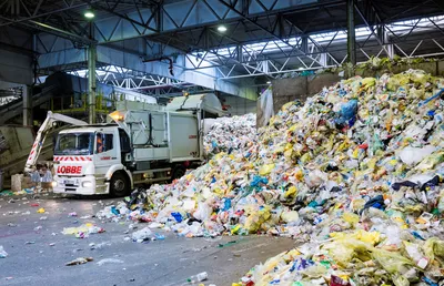 Скопления, а не свалки»: В акимате Алтая прокомментировали проблему мусора  в городе | SOZmedia
