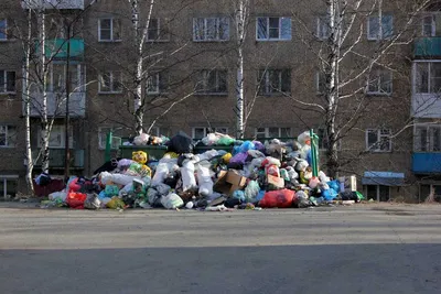 Как одна из самых грязных стран мира борется с мусором: | Пикабу