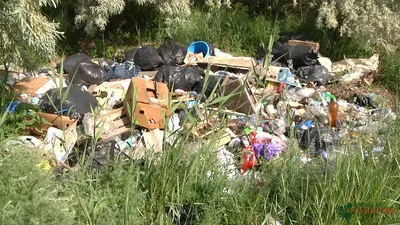 Проблема мусора на сегодняшний день является глобальной задачей для  экологов всего мира. - Администрация Кунашакского муниципального района