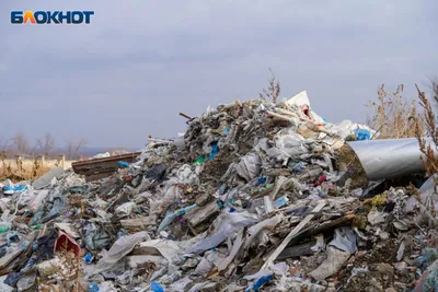 Проблема мусора в России: сколько отходов производят каждый год?» — создано  в Шедевруме